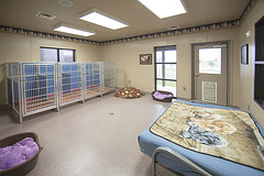 Dog room new wing Dog room new wing